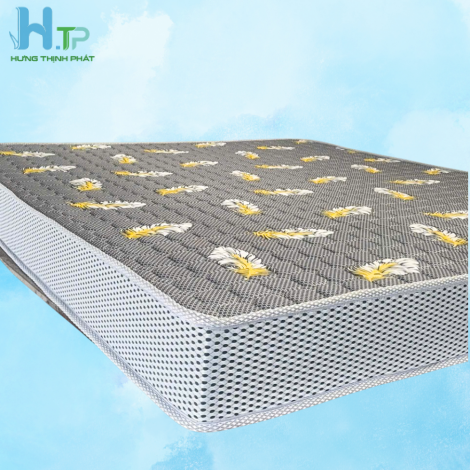 Nệm cao su tổng hợp - 30cm  